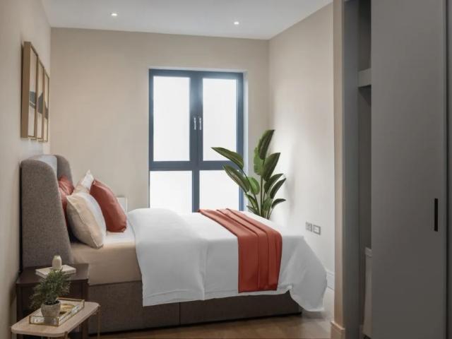 2 bedroom apartment to rent