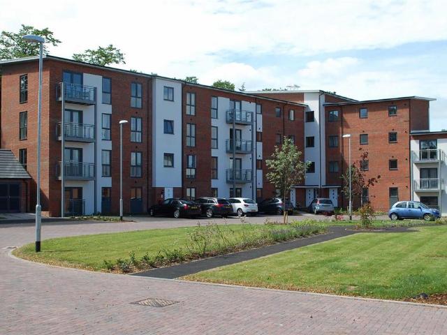 2 bedroom apartment to rent