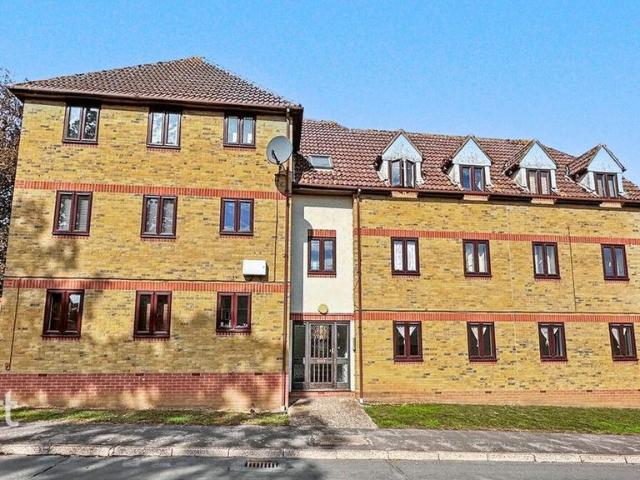 2 bedroom apartment to rent