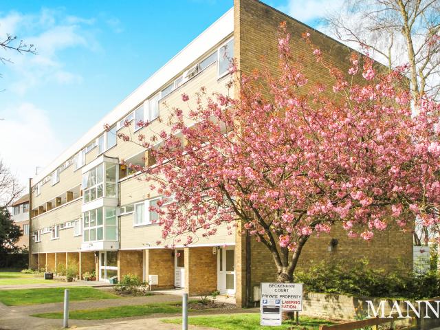2 bedroom apartment to rent
