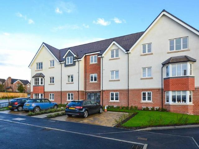 2 bedroom apartment to rent