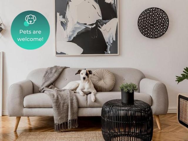 2 bedroom apartment to rent