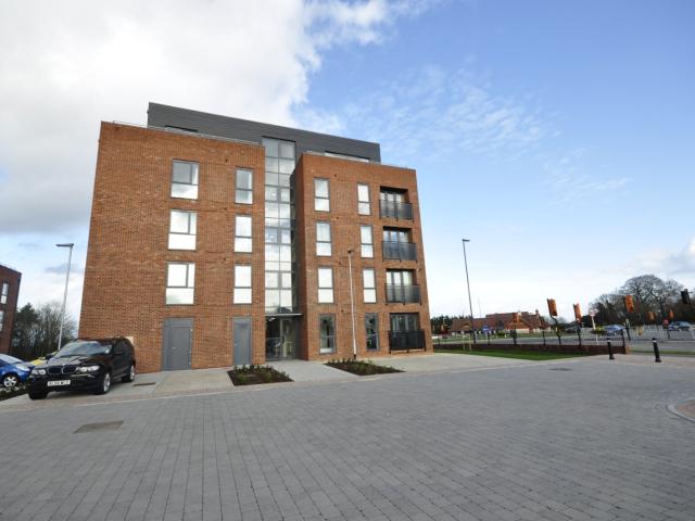 2 bedroom apartment to rent