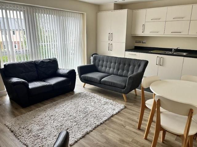 2 bedroom apartment to rent