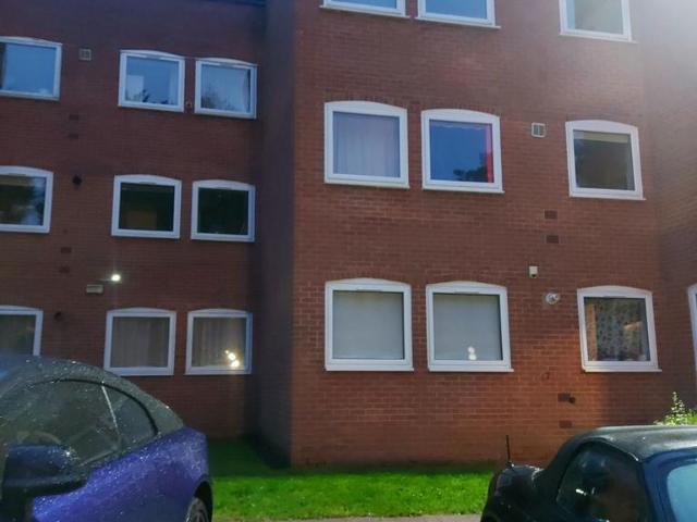 2 bedroom apartment to rent