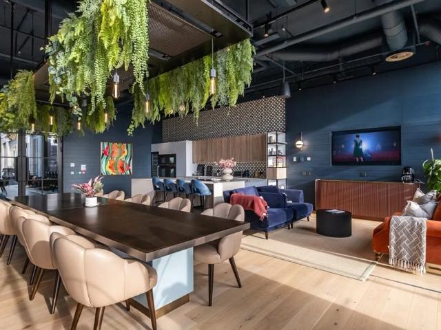 2 bedroom apartment to rent