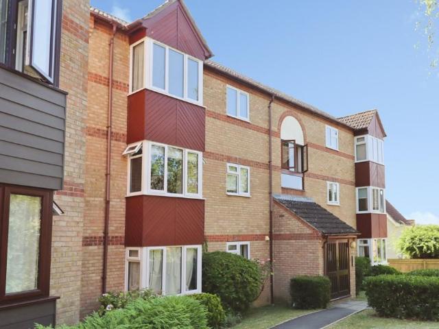 2 bedroom apartment to rent
