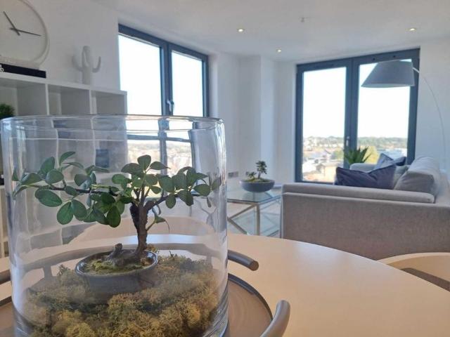 2 bedroom apartment to rent