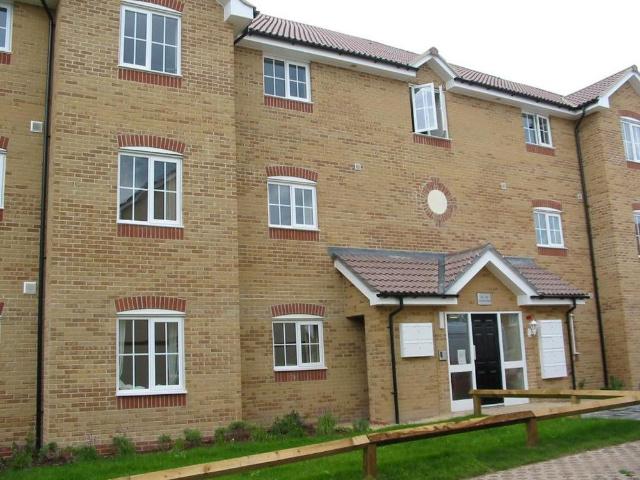 2 bedroom apartment to rent