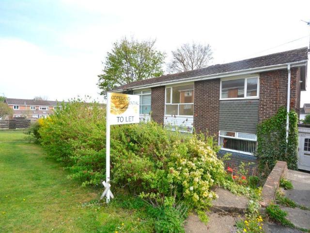 2 bedroom apartment to rent