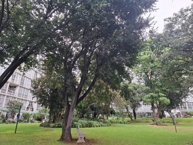 2 Bedroom Apartment to rent in Bedfordview
