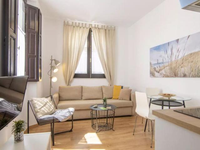 2 bedroom apartment to rent in Granada city centre!