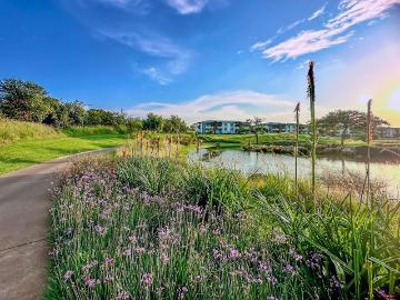 Rhodesfield, City of Ekurhuleni Metropolitan Municipality, Gauteng, South Africa