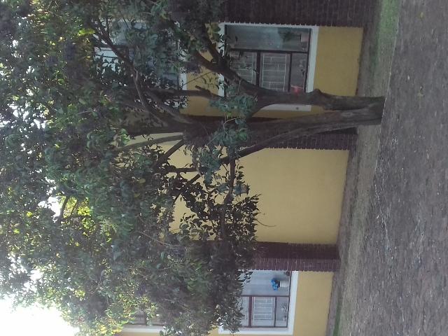 2 Bedroom Apartment to Rent – Vaalpark