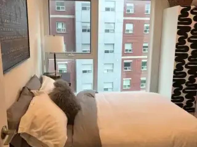 2 Bedroom Apartment Waterloo ON 105186102