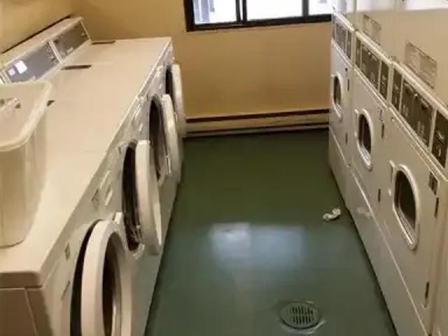 2 Bedroom Apartment Windsor ON 102366590