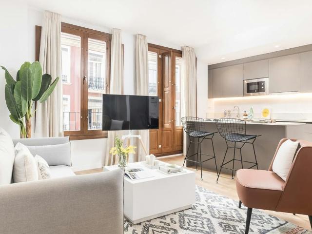 2 Bedroom Apartment with Private Terrace in Mercat, Valencia Amsterdam Apartments for Rent
