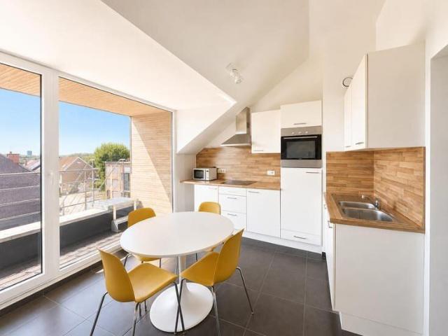 2 Bedroom Apartment with Terrace Grimbergen