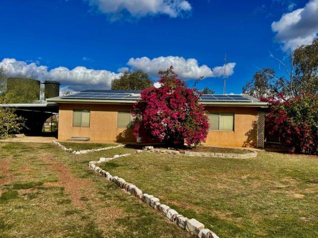 2 Bedroom Brick Home. Shed with 1 bedroom & Ensuite