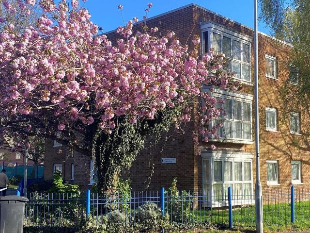 2 bedroom ground flat for sale