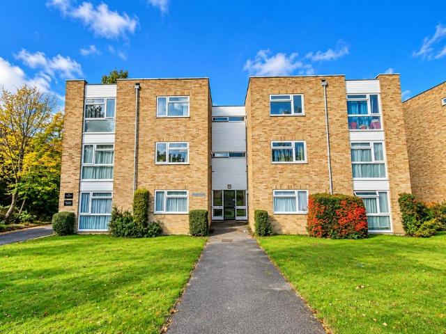 2 bedroom ground flat to rent
