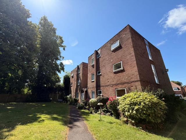 2 bedroom ground flat to rent