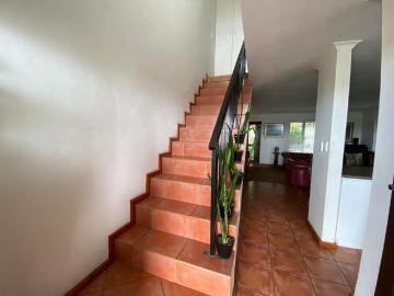 Oude Westhof, Bellville, City of Cape Town, Western Cape