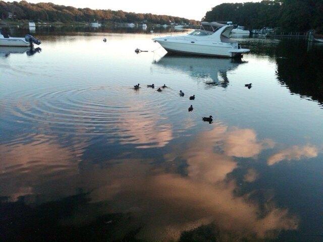 2 bedroom, Falmouth MA 02536 105680652