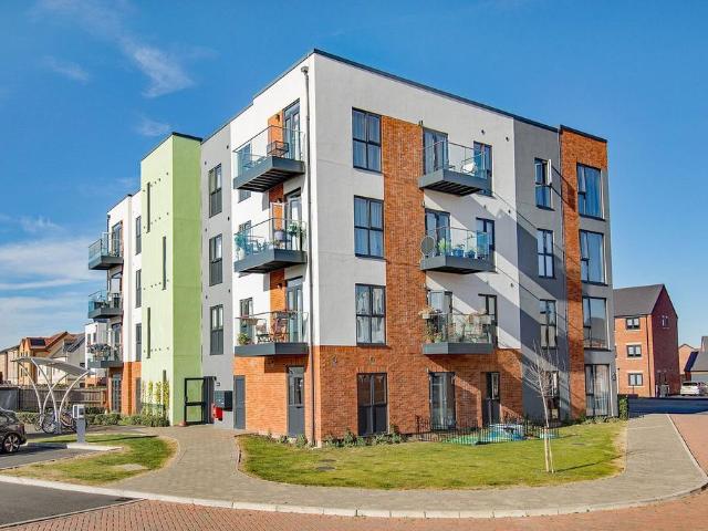 2 bedroom flat to rent