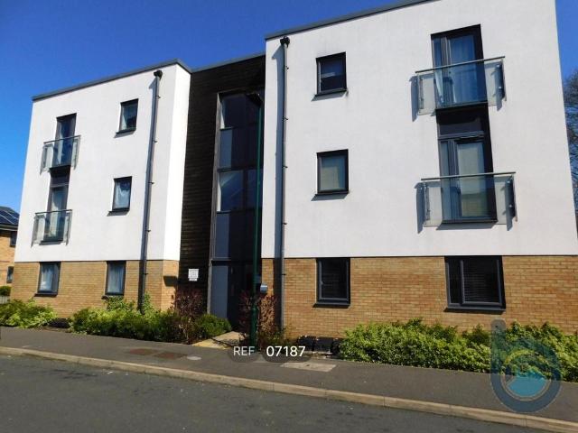 2 bedroom flat to rent