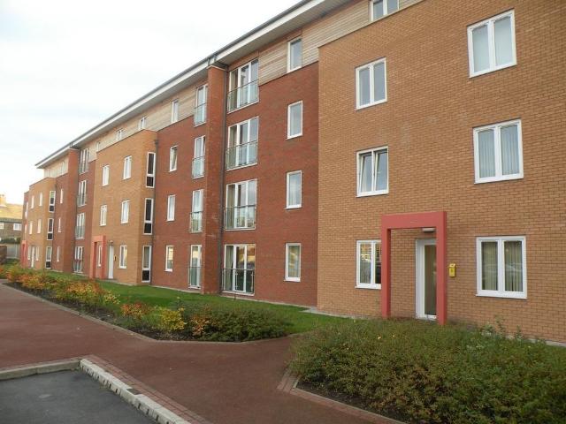 2 bedroom flat to rent