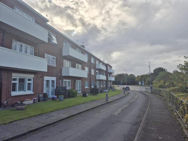 2 bedroom flat to rent