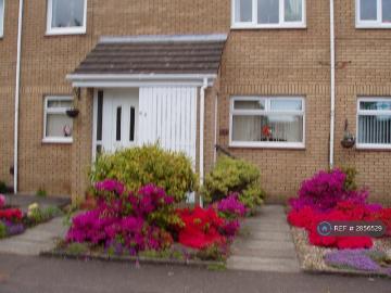 Glasgow, Glasgow and Clyde Valley - Garden