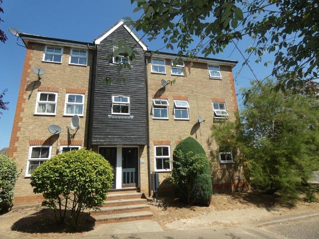2 bedroom flat to rent