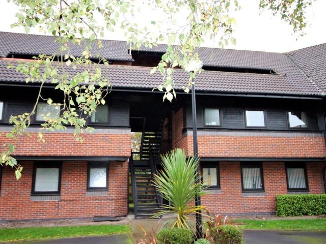 2 bedroom flat to rent