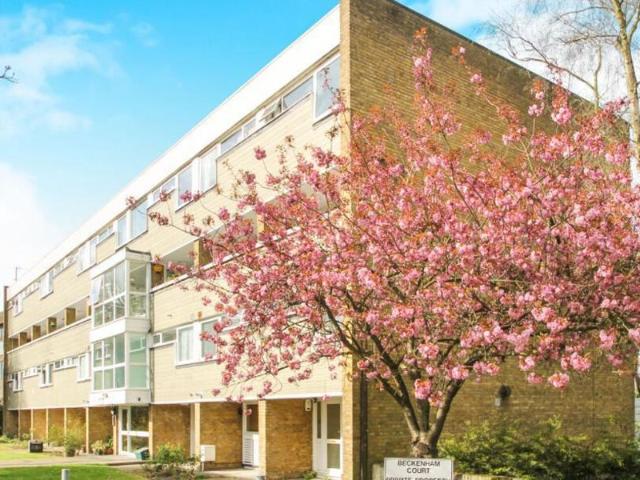 2 bedroom flat to rent