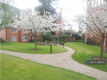 Coventry, West Midlands, Midlands - Garden