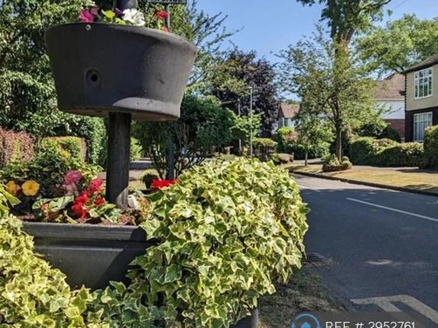 2 bedroom flat to rent