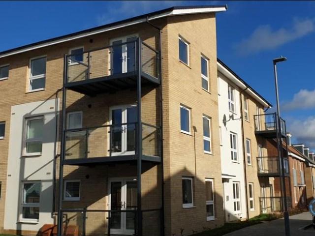 2 bedroom flat to rent