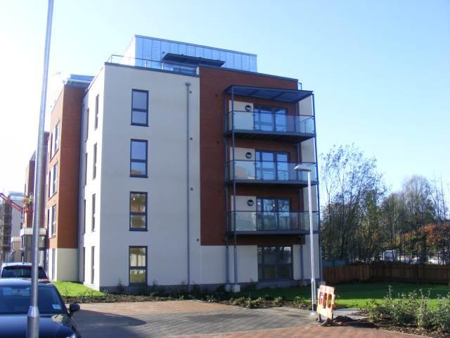 2 bedroom flat to rent