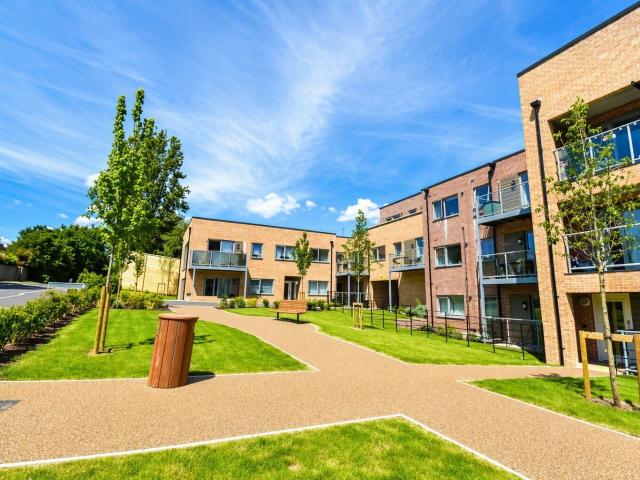 2 bedroom flat to rent