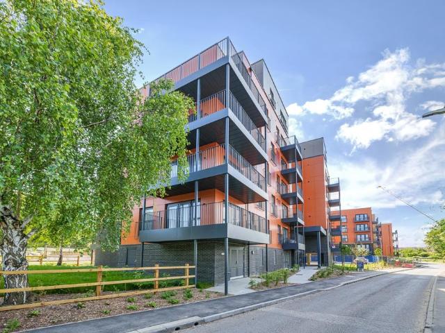 2 bedroom flat to rent