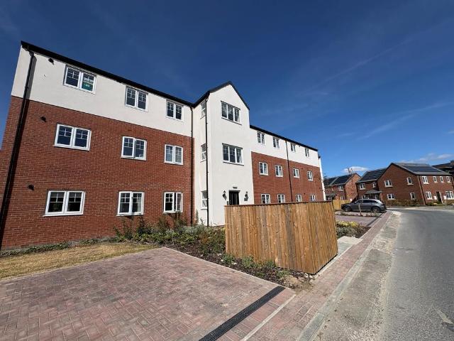 2 bedroom flat to rent