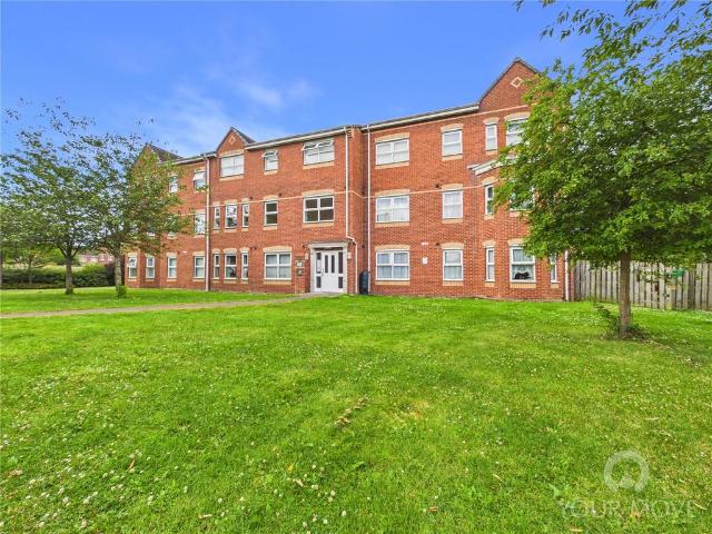2 bedroom flat to rent