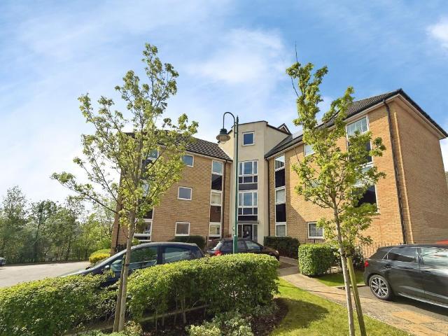 2 bedroom penthouse to rent