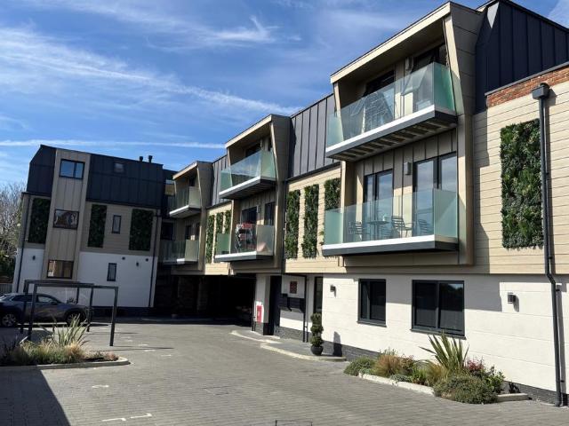 2 bedroom flat to rent