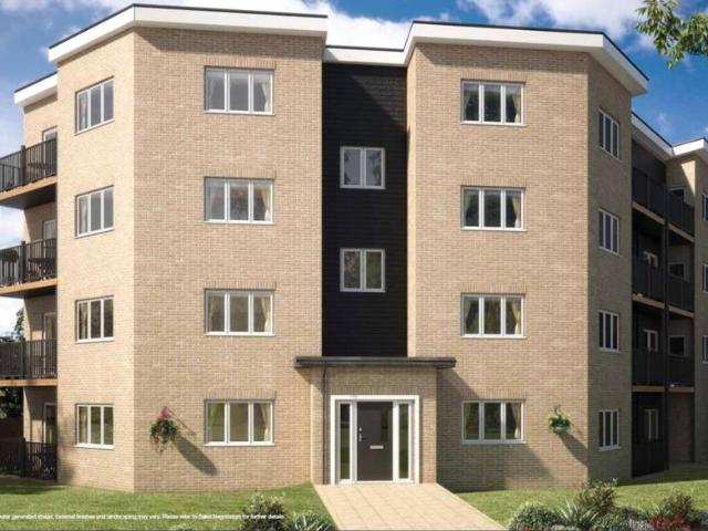 2 bedroom flat to rent