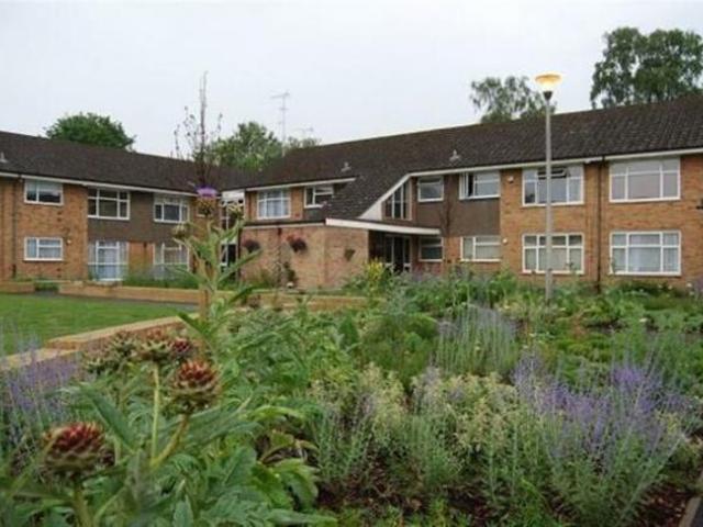 2 bedroom flat to rent