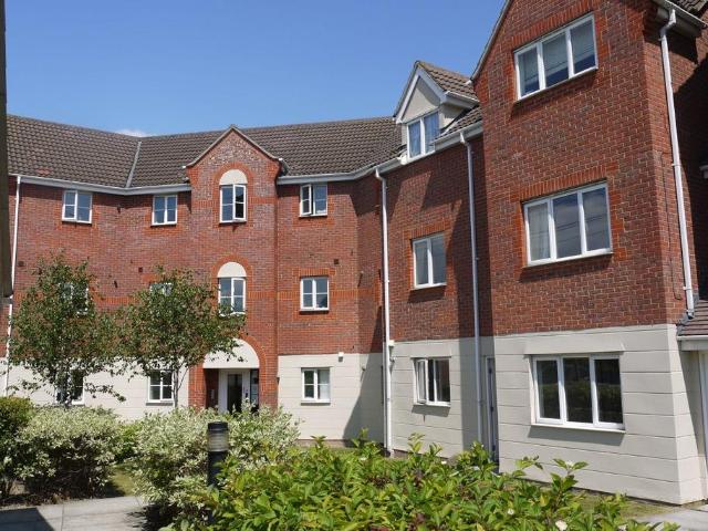 2 bedroom flat to rent