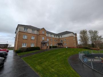 Glasgow, Glasgow and Clyde Valley - Garden
